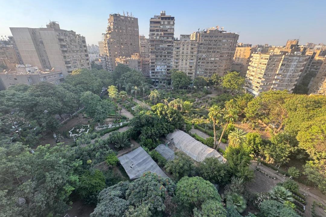 Photo of Others in Agouza