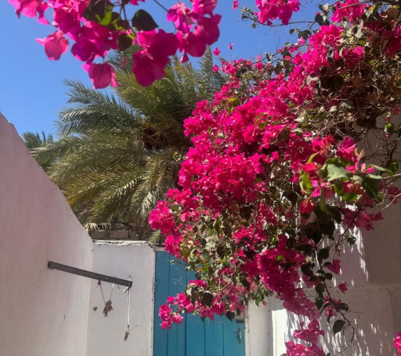 Photo of Others in Dahab