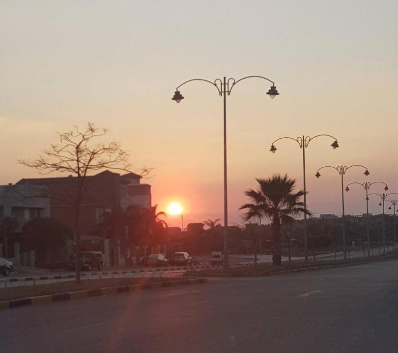 Photo of Others in Sheikh Zayed City