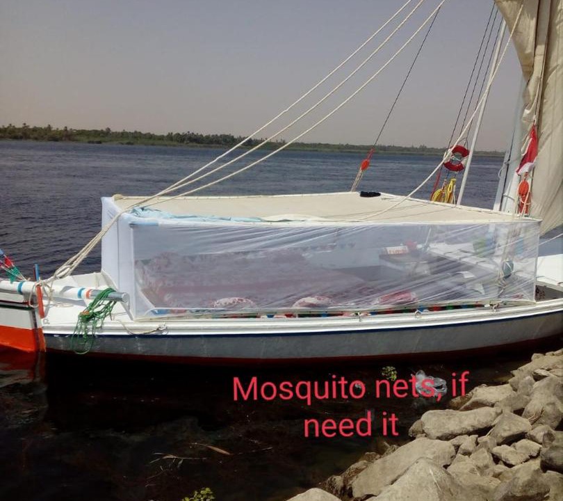 Photo of Others in Nile River Luxor