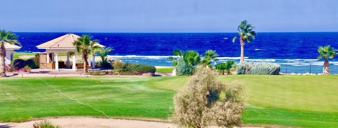 Photo of Others in Soma Bay