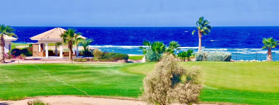 Photo of Others in Soma Bay