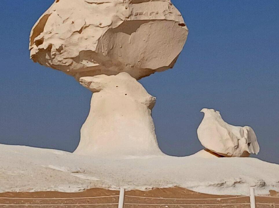 Photo of Others in Shurtah al-Farafirah