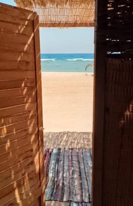 Photo of Others in Nuweiba