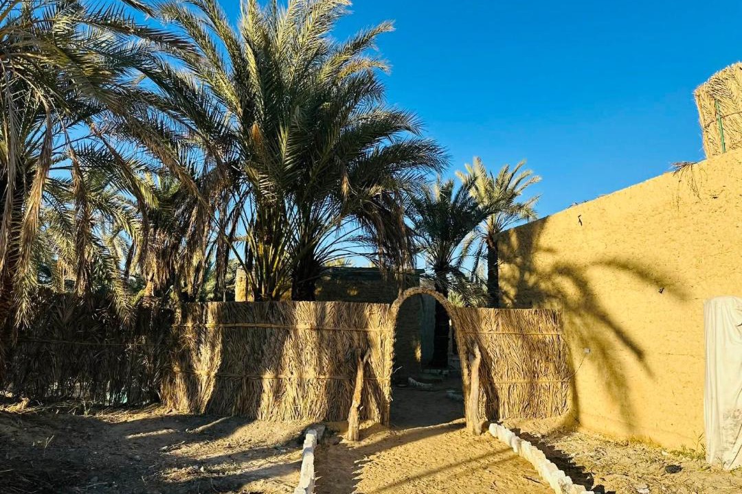 Photo of Others in Siwa