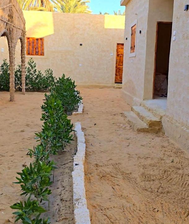 Photo of Others in Siwa