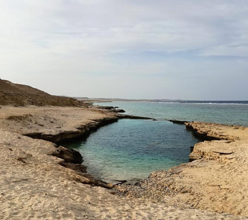 Photo of Others in Marsa Alam