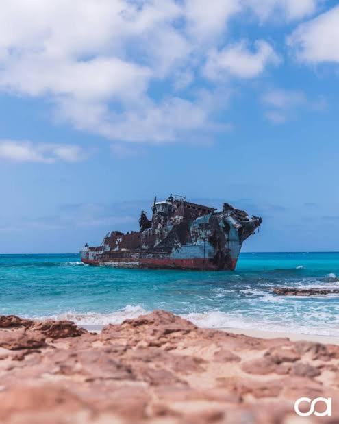 Photo of Human In Picture in Marsa Matruh