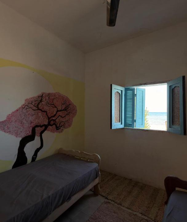 Photo of Others in Nuweiba