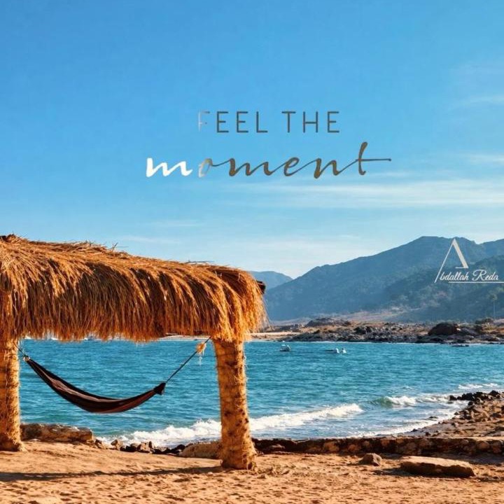 Photo of Others in Nuweiba