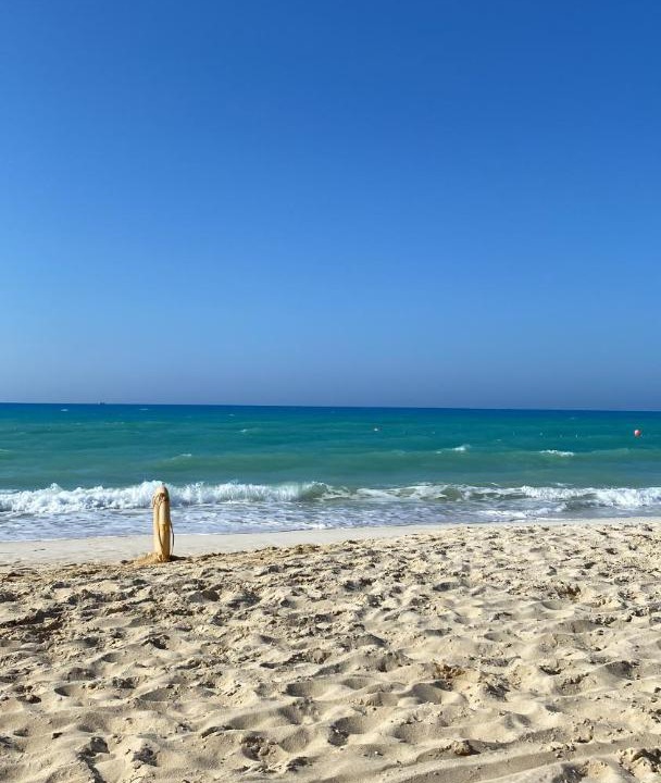 Photo of Others in Marina El Alamein
