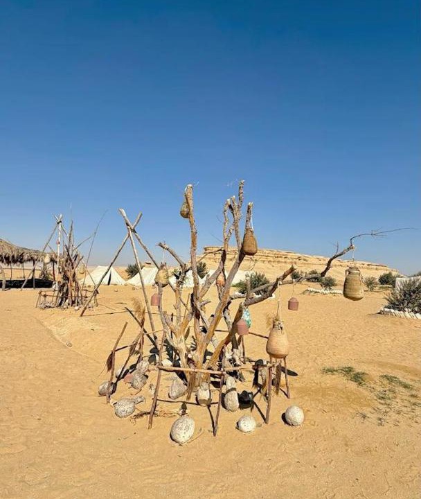 Photo of Others in Al Fayoum