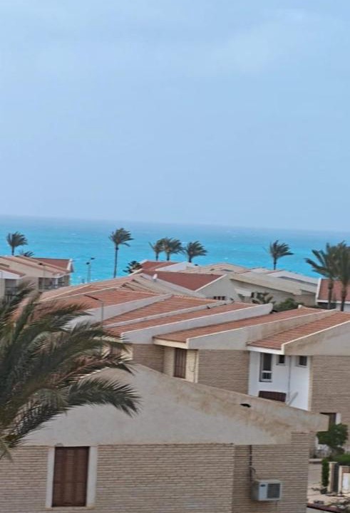 Photo of Others in Borg el Arab