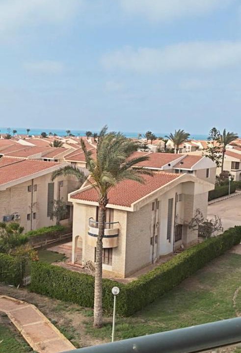 Photo of Others in Borg el Arab