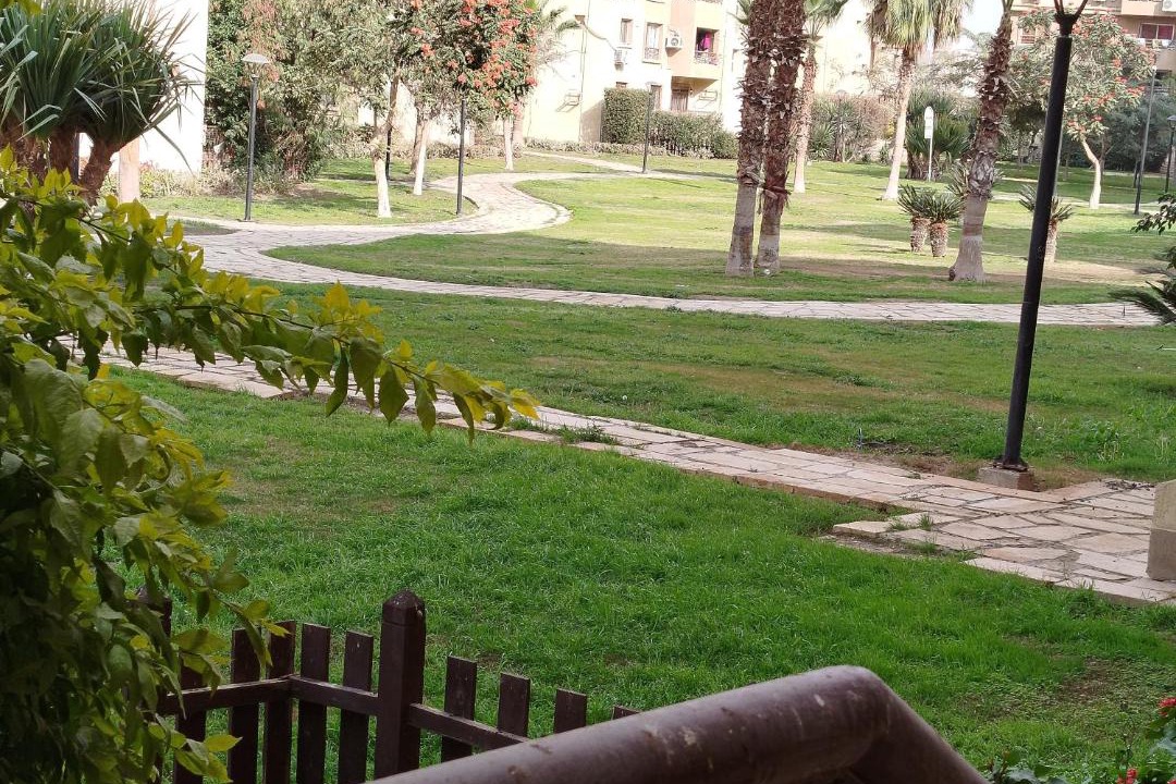 Photo of Others in Madinaty
