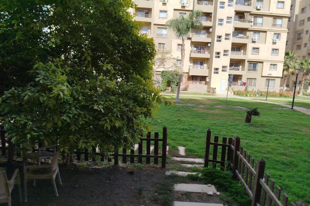 Photo of Others in Madinaty
