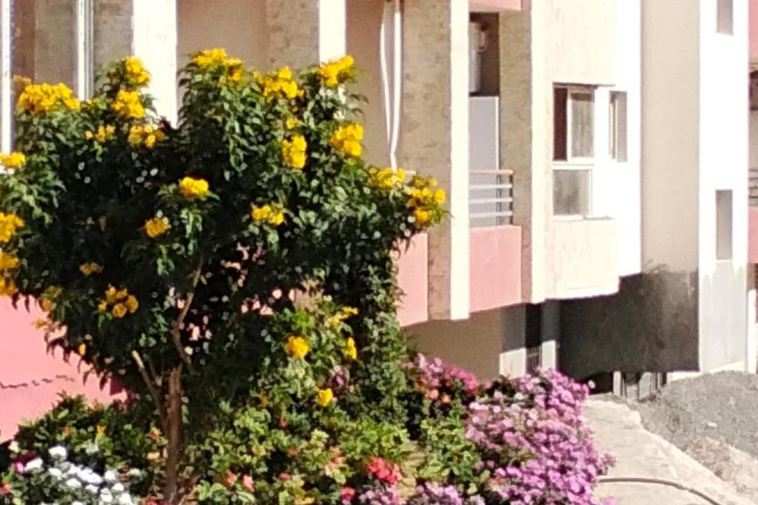 Photo of Others in Al Mamsha El Seyahi