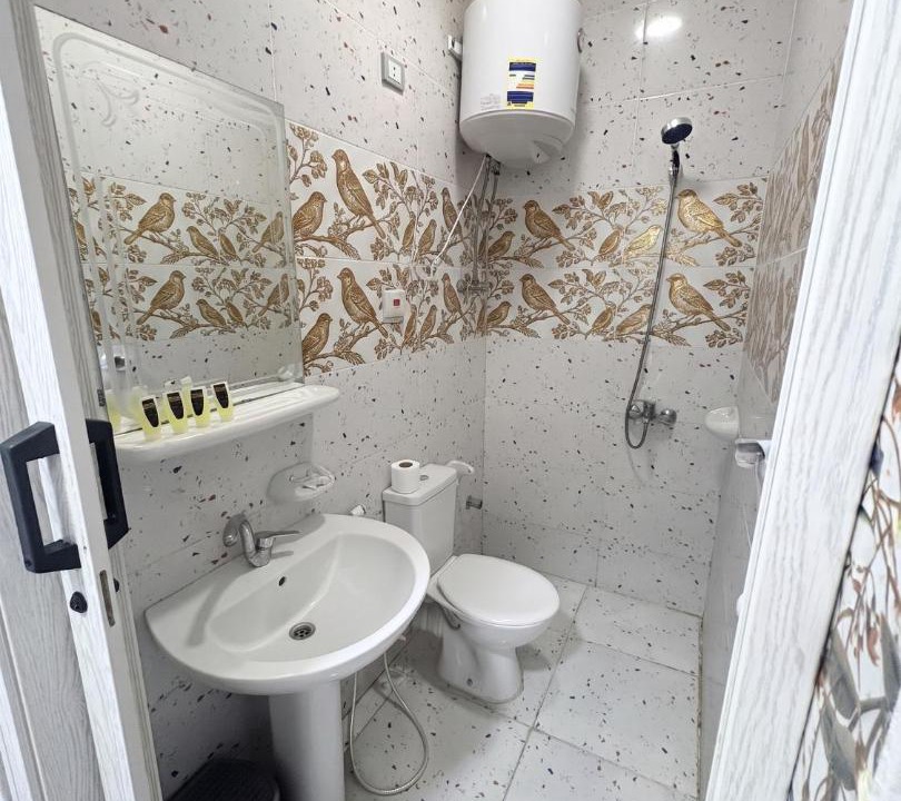 Photo of Bathroom in Downtown Cairo