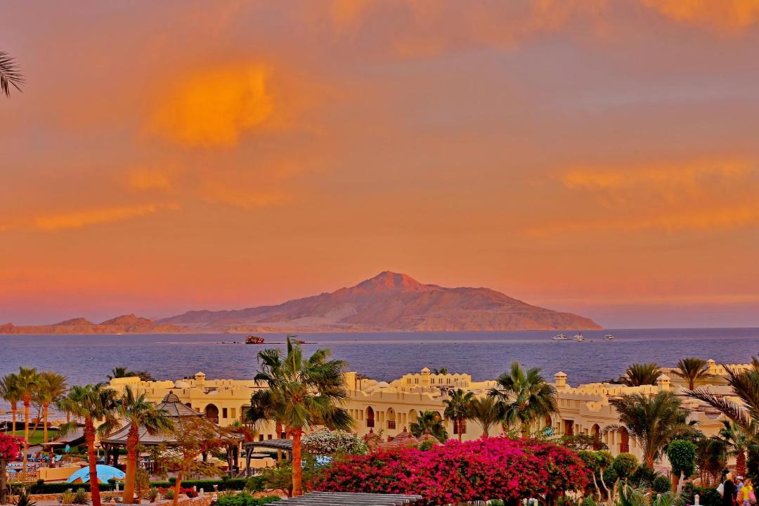 Photo of Others in Sharm El Sheikh