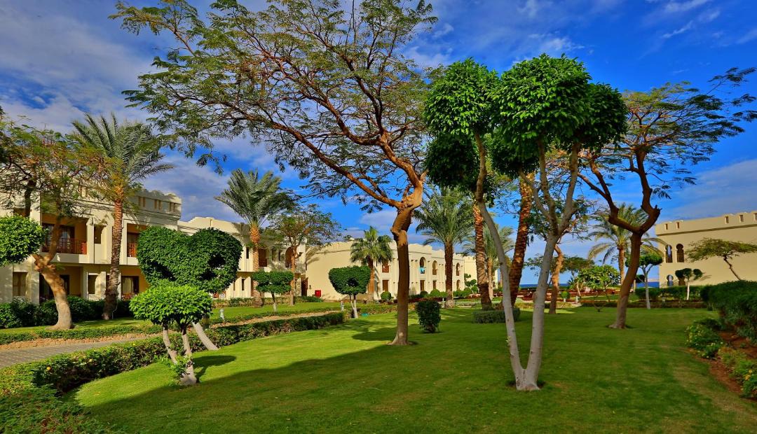 Photo of Others in Sharm El Sheikh