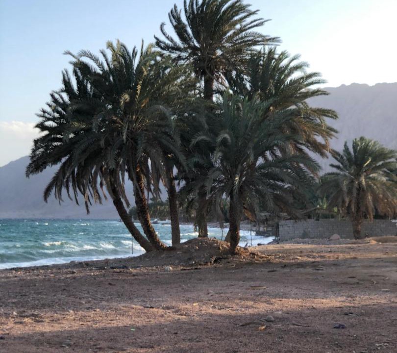 Photo of Others in Nuweiba