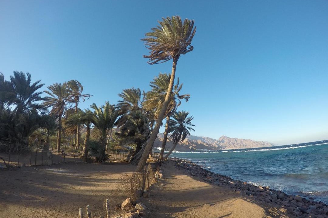 Photo of Others in Dahab