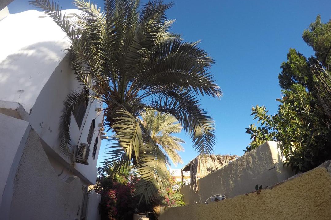 Photo of Others in Dahab