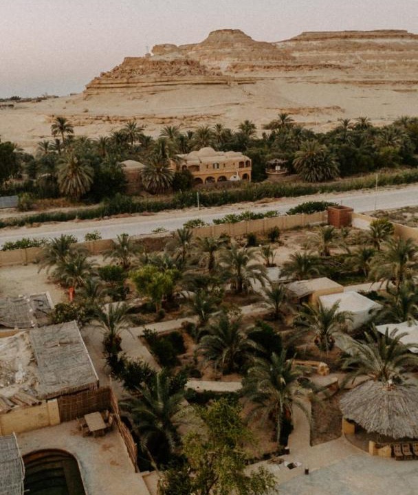 Photo of Others in Siwa