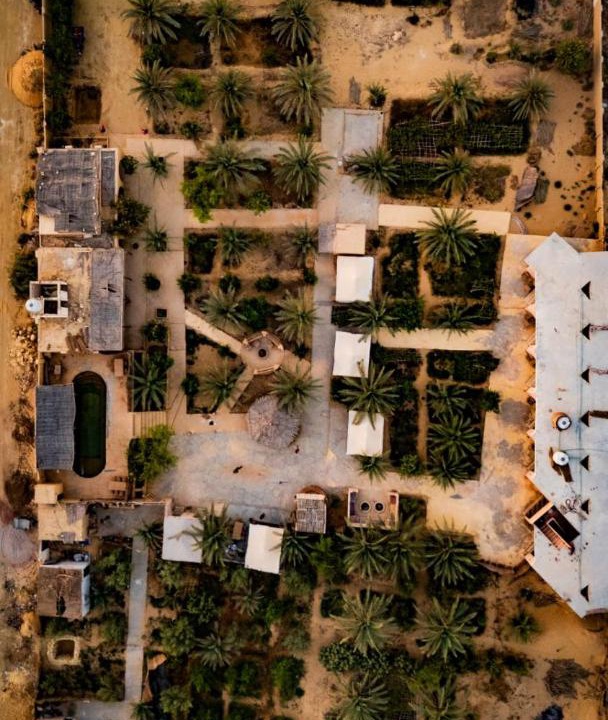 Photo of Others in Siwa