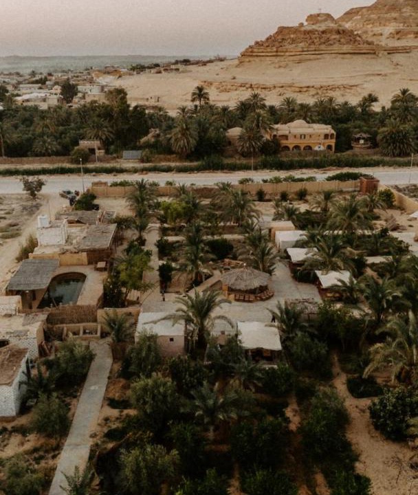 Photo of Others in Siwa