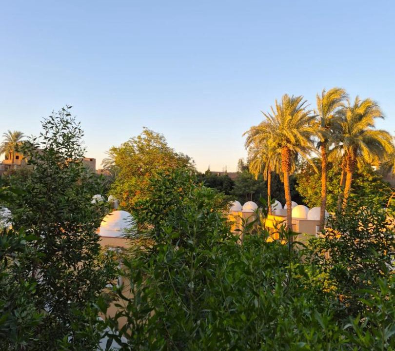 Photo of Others in Luxor