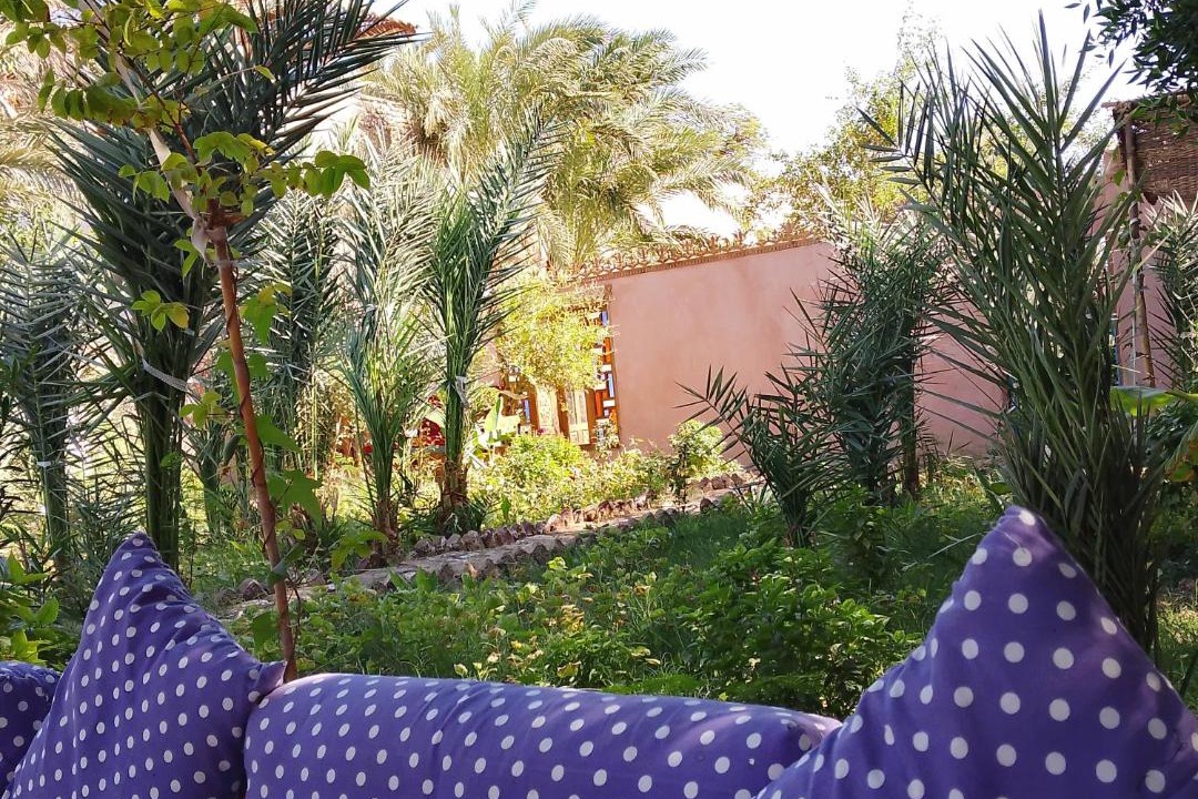 Photo of Others in Luxor