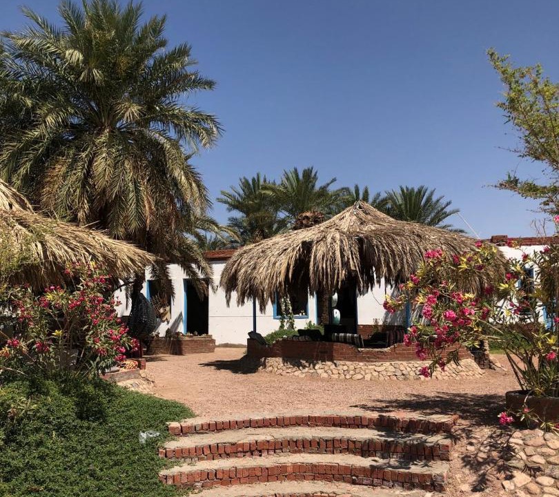 Photo of Others in Nuweiba
