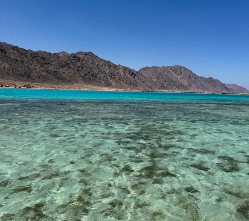 Photo of Others in Dahab