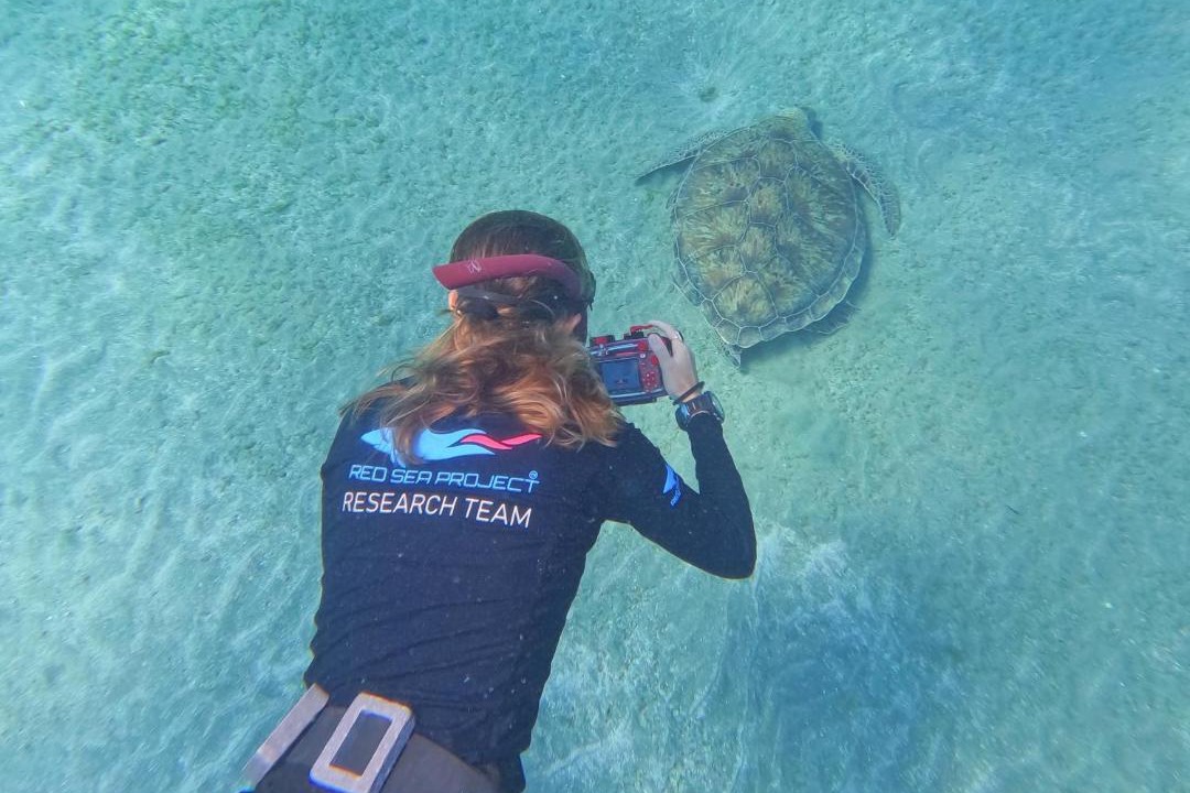 Photo of Others in Marsa Alam
