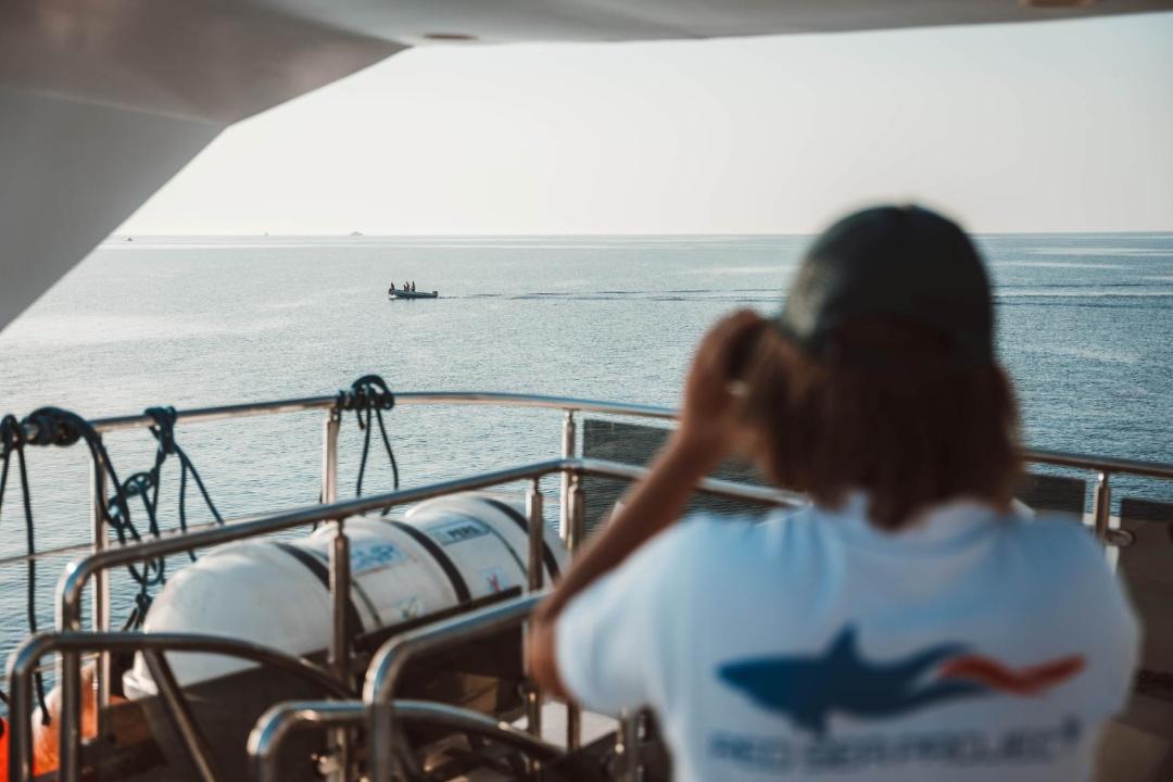 Photo of Others in Marsa Alam