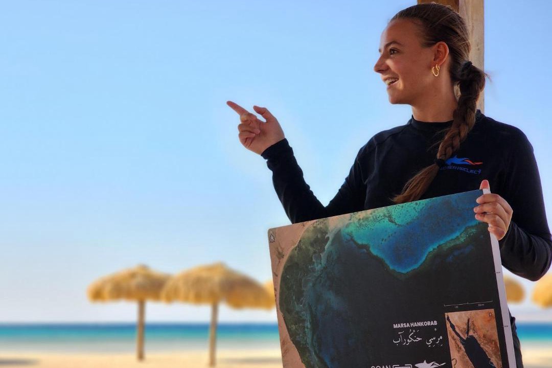 Photo of Others in Marsa Alam