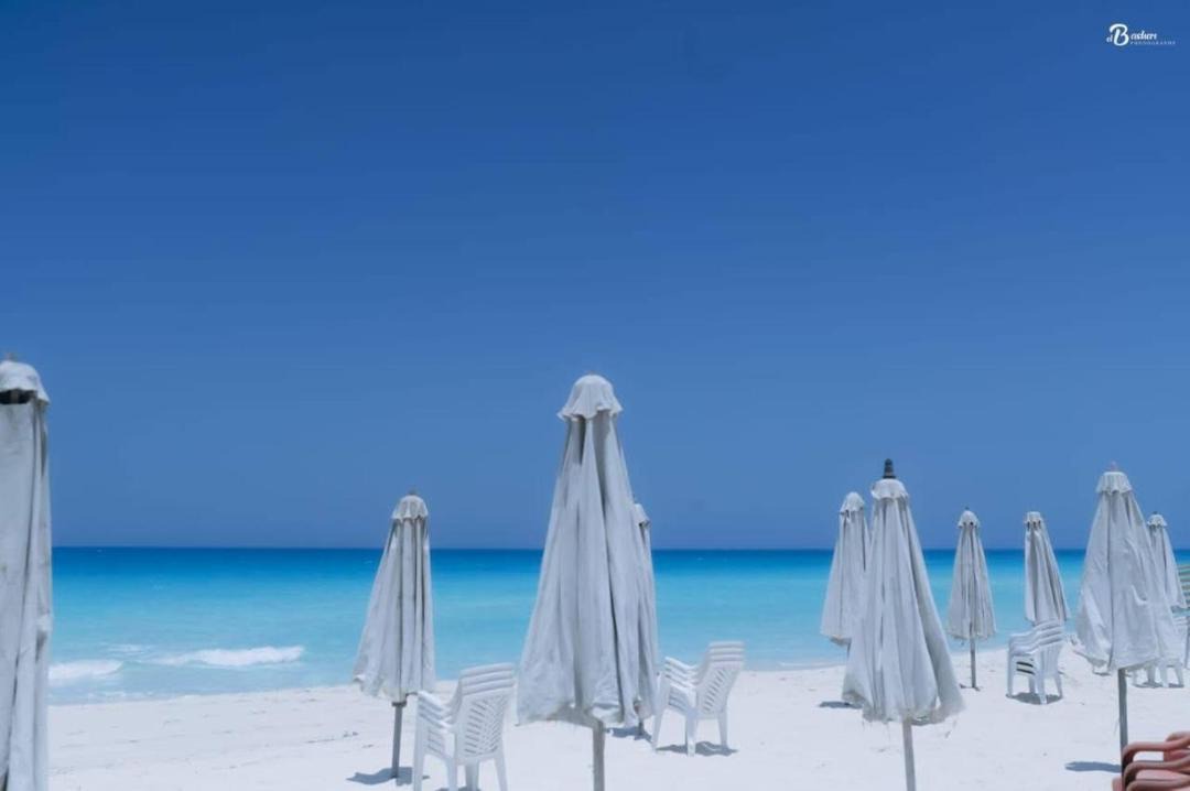 Photo of Others in Marina El Alamein