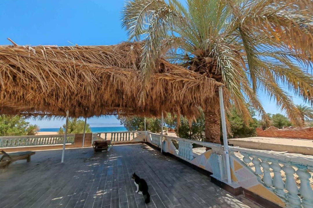 Photo of Others in Nuweiba