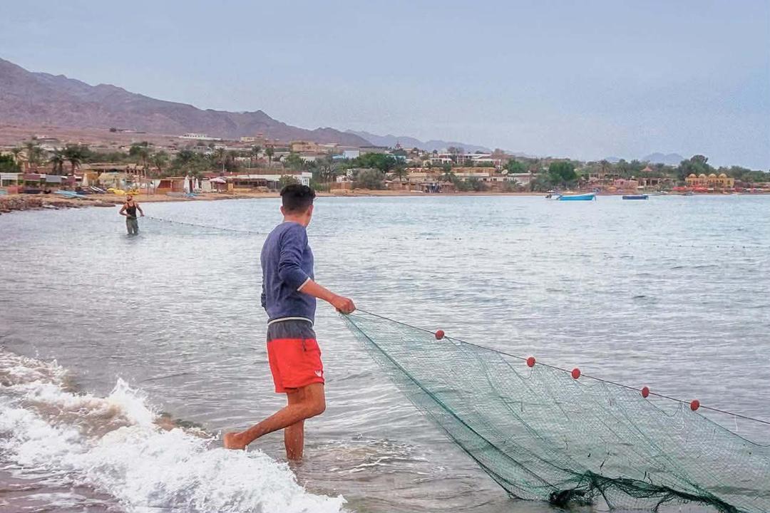 Photo of Others in Nuweiba