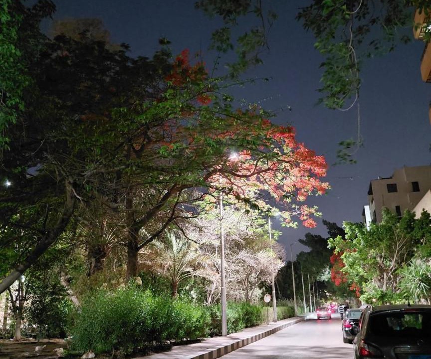 Photo of Others in Tenth of Ramadan City