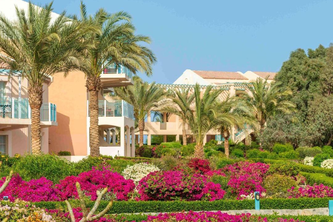 Photo of Others in El Gouna