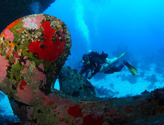 Photo of Others in Soma Bay