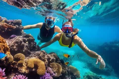 Photo of Others in Soma Bay