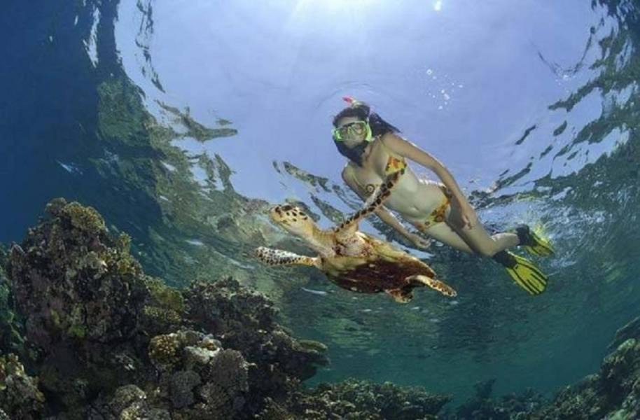 Photo of Others in Soma Bay