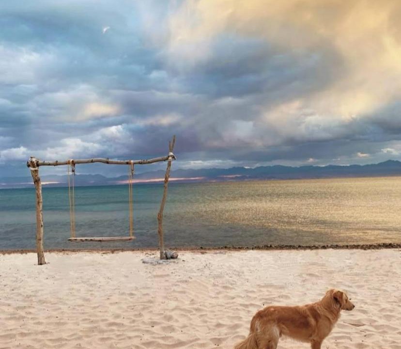 Photo of Others in Nuweiba