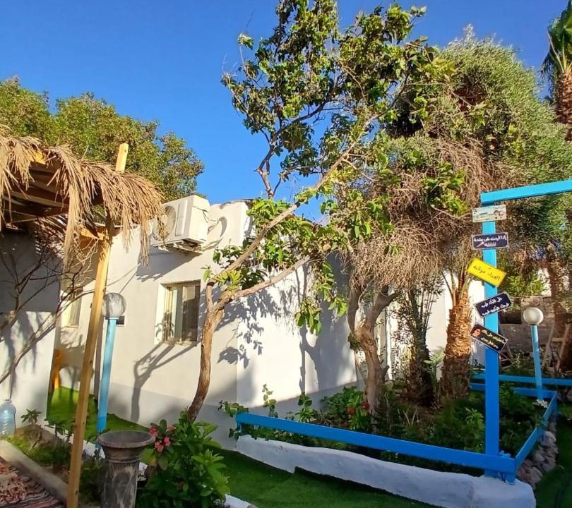 Photo of Others in Dahab