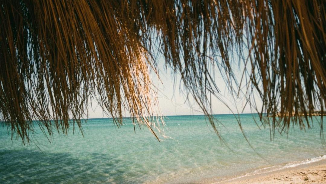 Photo of Others in Ain Sokhna