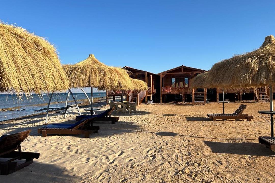 Photo of Others in Nuweiba