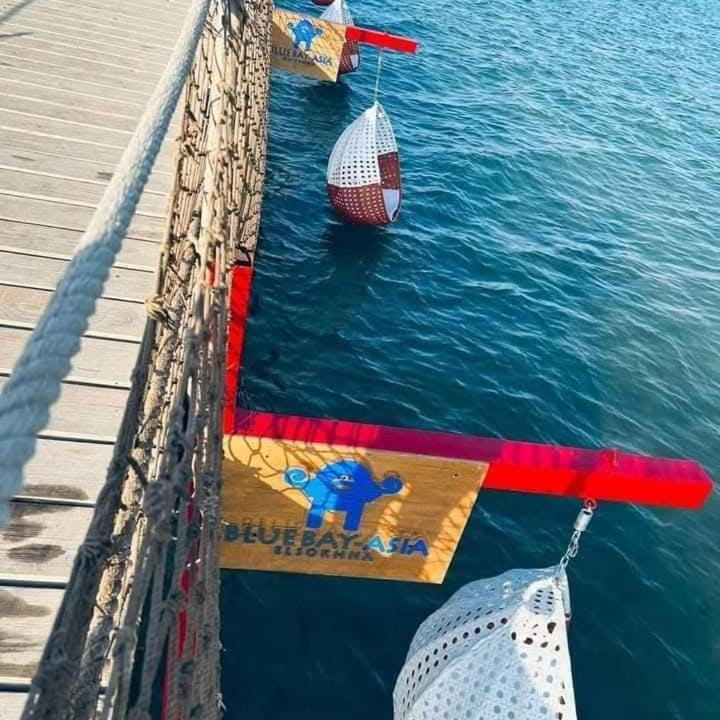 Photo of Others in Zafarana